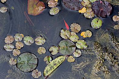 《喋血复仇》XGP版已经开启预载 容量超34GB